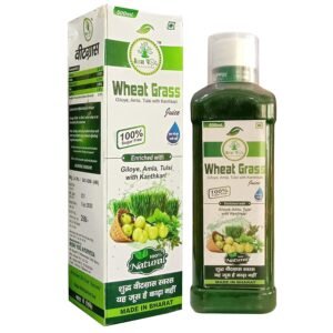 Rishi Yog Ayurveda Wheat Grass Juice (1)