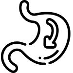 Digestion & Gut